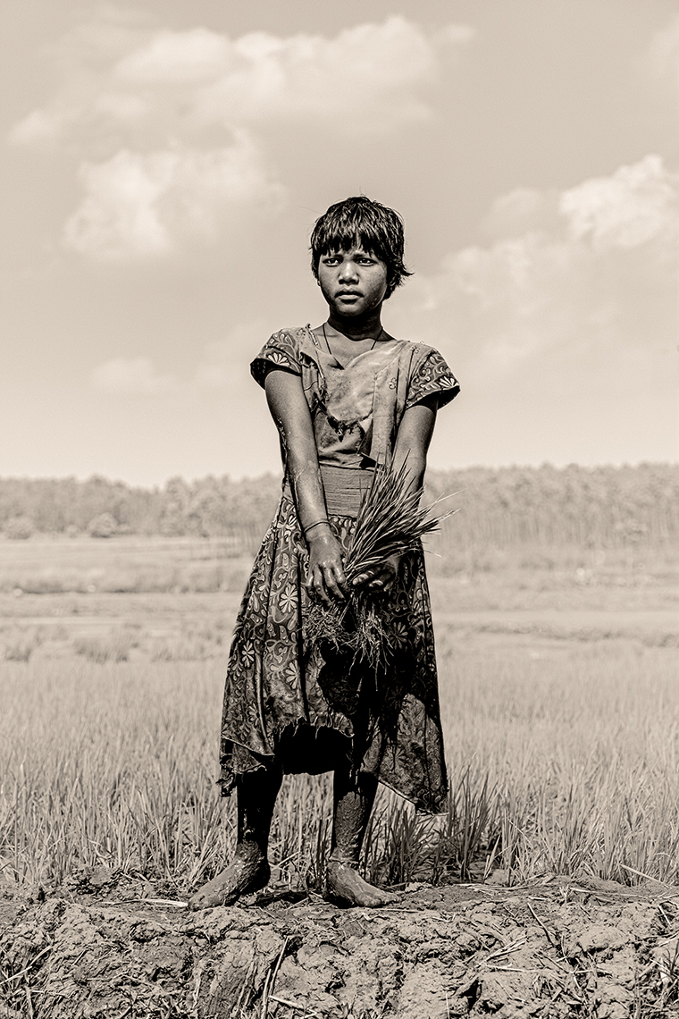 india-riceplanter